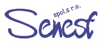 Primary Raster logo